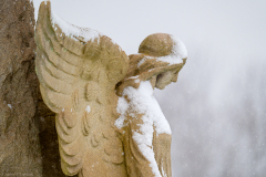 calvary-angel-profile